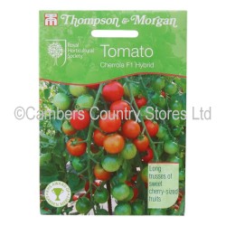 Thompson & Morgan Tomato Cherrola F1 Hybrid